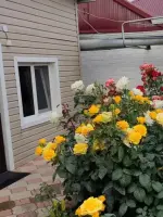Домик на Азове